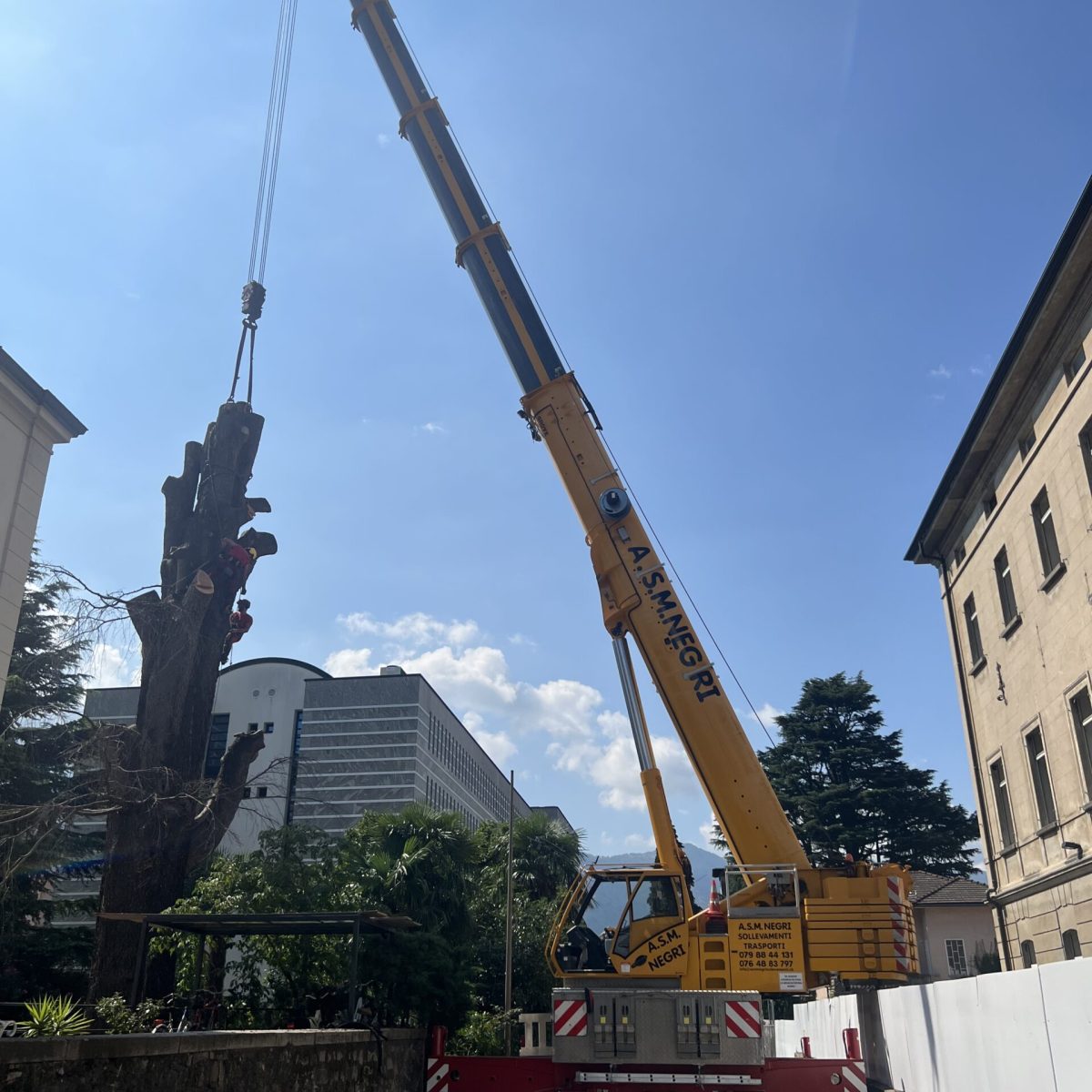 11B6CC03-DADD-4598-88EF-BFCFA08ACDF0